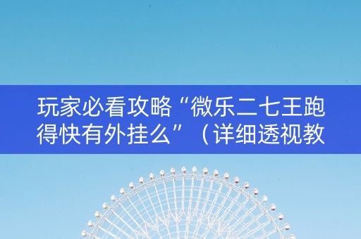 玩家必看攻略“微乐二七王跑得快有外挂么”（详细透视教程）-哔哩哔哩