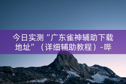 今日实测“广东雀神辅助下载地址”（详细辅助教程）-哔哩哔哩