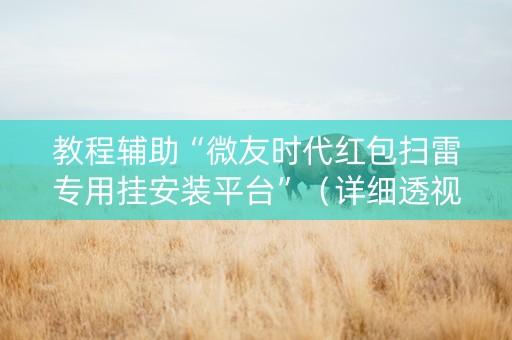 教程辅助“微友时代红包扫雷专用挂安装平台”（详细透视教程）-哔哩哔哩