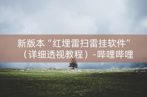 新版本“红埋雷扫雷挂软件”（详细透视教程）-哔哩哔哩
