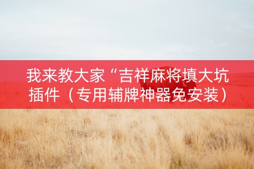 我来教大家“吉祥麻将填大坑插件（专用辅牌神器免安装）