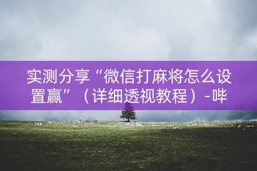 实测分享“微信打麻将怎么设置赢”（详细透视教程）-哔哩哔哩
