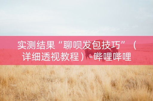 实测结果“聊呗发包技巧”（详细透视教程）-哔哩哔哩