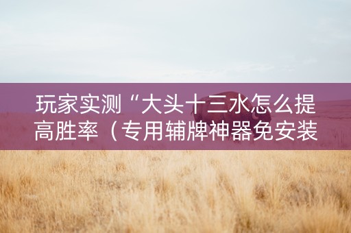 玩家实测“大头十三水怎么提高胜率（专用辅牌神器免安装）