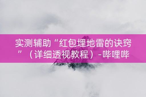 实测辅助“红包埋地雷的诀窍”（详细透视教程）-哔哩哔哩