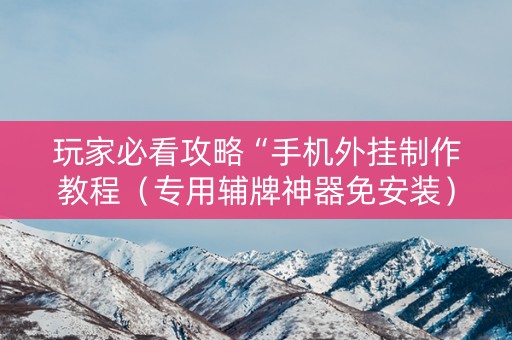 玩家必看攻略“手机外挂制作教程（专用辅牌神器免安装）