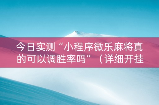 今日实测“小程序微乐麻将真的可以调胜率吗”（详细开挂教程）-哔哩哔哩