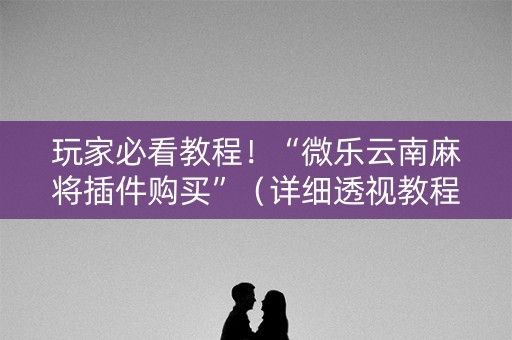 玩家必看教程！“微乐云南麻将插件购买”（详细透视教程）-哔哩哔哩