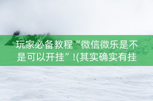 玩家必备教程“微信微乐是不是可以开挂”!(其实确实有挂)-知乎