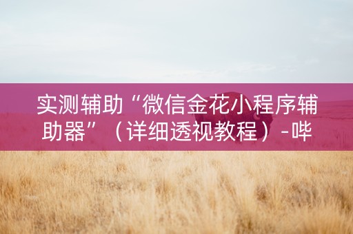 实测辅助“微信金花小程序辅助器”（详细透视教程）-哔哩哔哩