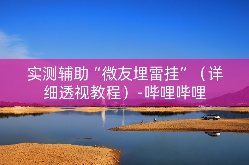 实测辅助“微友埋雷挂”（详细透视教程）-哔哩哔哩