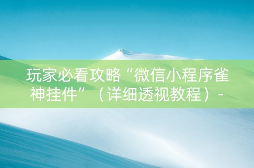 玩家必看攻略“微信小程序雀神挂件”（详细透视教程）-哔哩哔哩
