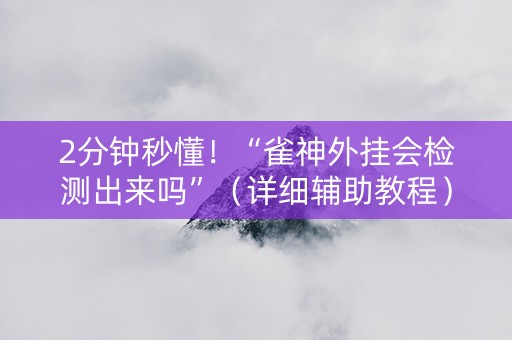 2分钟秒懂！“雀神外挂会检测出来吗”（详细辅助教程）-哔哩哔哩