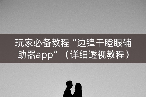 玩家必备教程“边锋干瞪眼辅助器app”（详细透视教程）-哔哩哔哩