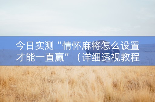今日实测“情怀麻将怎么设置才能一直赢”（详细透视教程）-哔哩哔哩