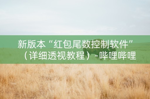 新版本“红包尾数控制软件”（详细透视教程）-哔哩哔哩