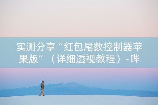实测分享“红包尾数控制器苹果版”（详细透视教程）-哔哩哔哩