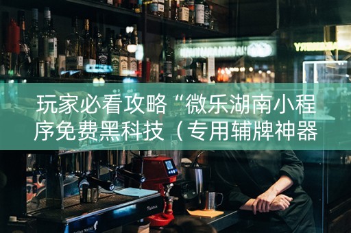 玩家必看攻略“微乐湖南小程序免费黑科技（专用辅牌神器免安装）