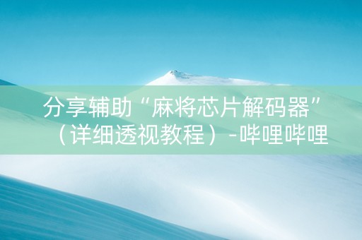 分享辅助“麻将芯片解码器”（详细透视教程）-哔哩哔哩