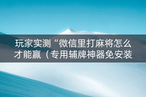 玩家实测“微信里打麻将怎么才能赢（专用辅牌神器免安装）