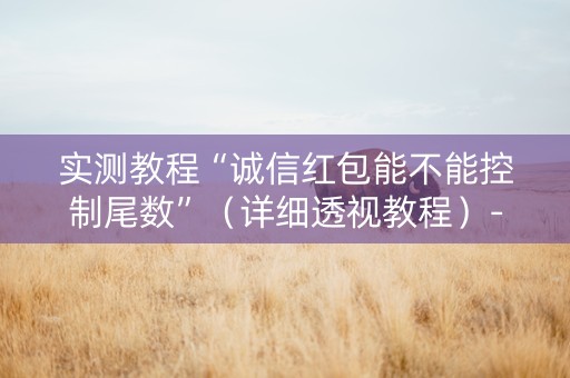 实测教程“诚信红包能不能控制尾数”（详细透视教程）-哔哩哔哩