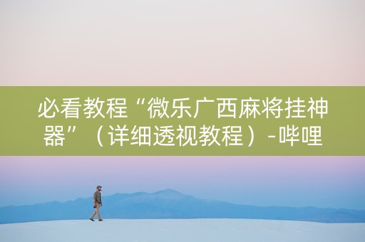 必看教程“微乐广西麻将挂神器”（详细透视教程）-哔哩哔哩