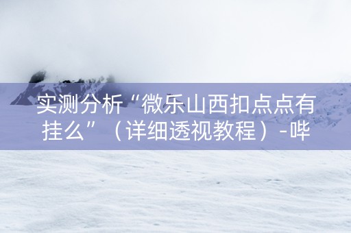 实测分析“微乐山西扣点点有挂么”（详细透视教程）-哔哩哔哩