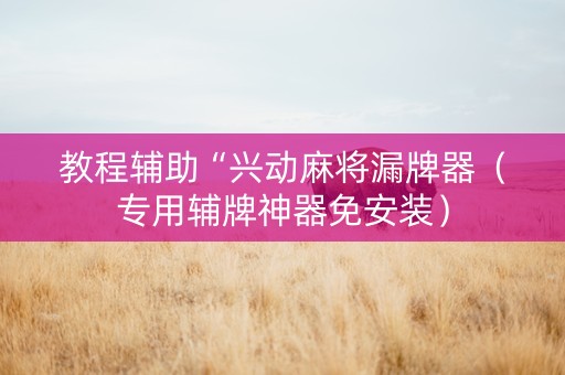 教程辅助“兴动麻将漏牌器（专用辅牌神器免安装）
