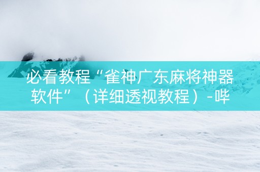必看教程“雀神广东麻将神器软件”（详细透视教程）-哔哩哔哩