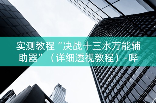实测教程“决战十三水万能辅助器”（详细透视教程）-哔哩哔哩