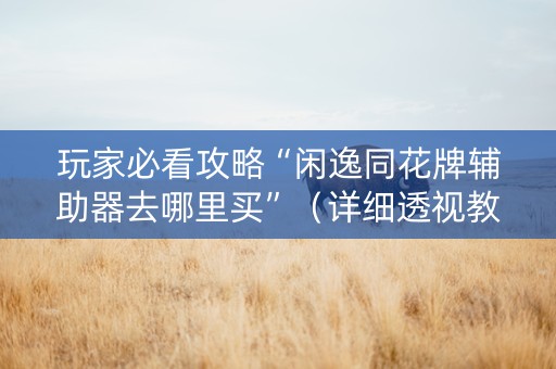 玩家必看攻略“闲逸同花牌辅助器去哪里买”（详细透视教程）-哔哩哔哩