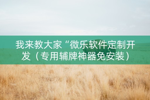我来教大家“微乐软件定制开发（专用辅牌神器免安装）