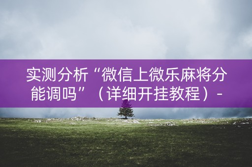实测分析“微信上微乐麻将分能调吗”（详细开挂教程）-哔哩哔哩