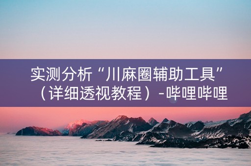 实测分析“川麻圈辅助工具”（详细透视教程）-哔哩哔哩