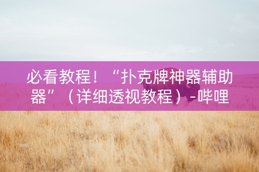 必看教程！“扑克牌神器辅助器”（详细透视教程）-哔哩哔哩