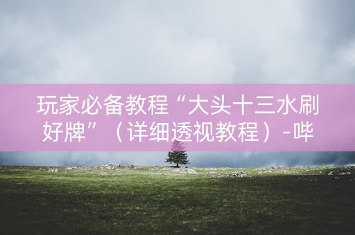 玩家必备教程“大头十三水刷好牌”（详细透视教程）-哔哩哔哩
