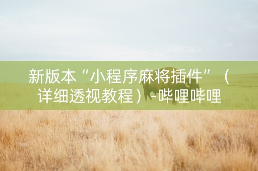 新版本“小程序麻将插件”（详细透视教程）-哔哩哔哩