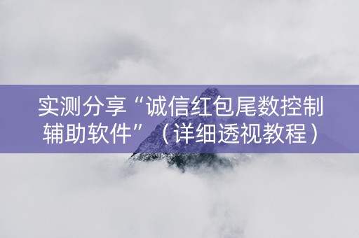 实测分享“诚信红包尾数控制辅助软件”（详细透视教程）-哔哩哔哩