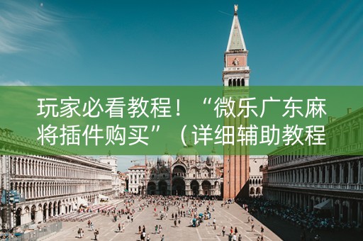 玩家必看教程！“微乐广东麻将插件购买”（详细辅助教程）-哔哩哔哩