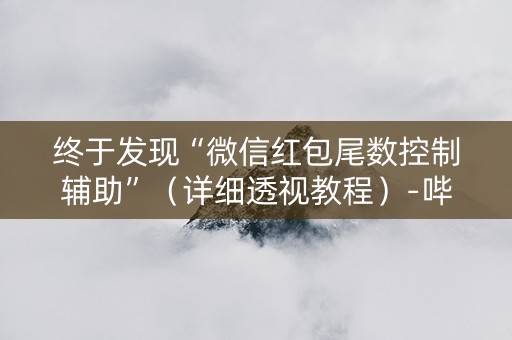 终于发现“微信红包尾数控制辅助”（详细透视教程）-哔哩哔哩