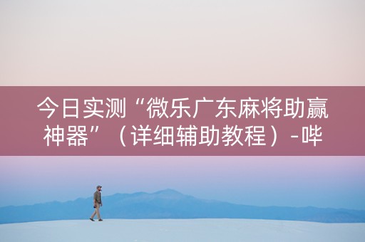 今日实测“微乐广东麻将助赢神器”（详细辅助教程）-哔哩哔哩