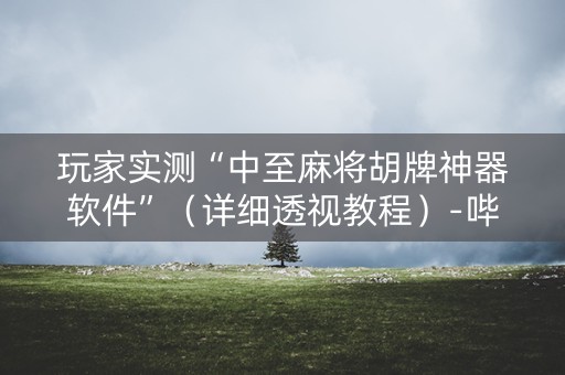 玩家实测“中至麻将胡牌神器软件”（详细透视教程）-哔哩哔哩