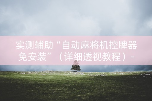 实测辅助“自动麻将机控牌器免安装”（详细透视教程）-哔哩哔哩