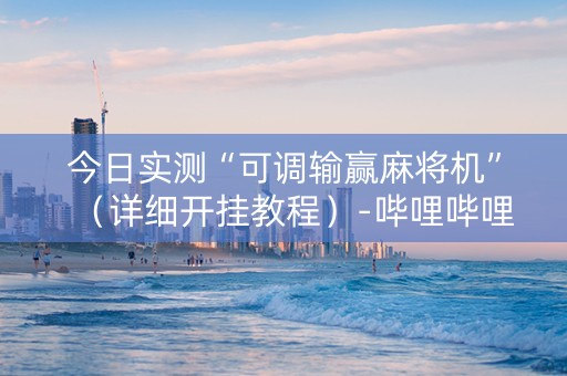 今日实测“可调输赢麻将机”（详细开挂教程）-哔哩哔哩