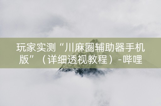 玩家实测“川麻圈辅助器手机版”（详细透视教程）-哔哩哔哩