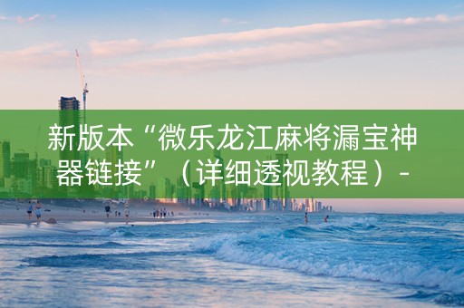 新版本“微乐龙江麻将漏宝神器链接”（详细透视教程）-哔哩哔哩