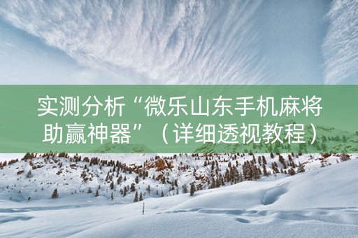 实测分析“微乐山东手机麻将助赢神器”（详细透视教程）-哔哩哔哩