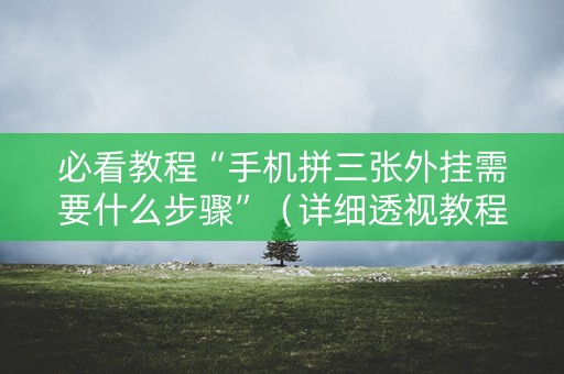 必看教程“手机拼三张外挂需要什么步骤”（详细透视教程）-哔哩哔哩
