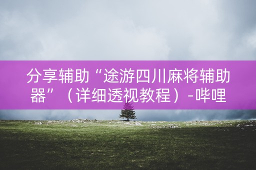 分享辅助“途游四川麻将辅助器”（详细透视教程）-哔哩哔哩