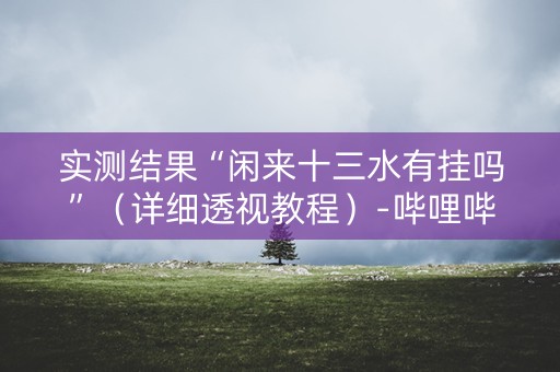实测结果“闲来十三水有挂吗”（详细透视教程）-哔哩哔哩